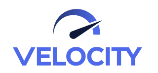 Vantage Point Velocity platform logo